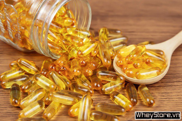 Dầu cá omega 3 loại nào tốt nhất? Kinh nghiệm chọn mua dầu cá - Ảnh 1