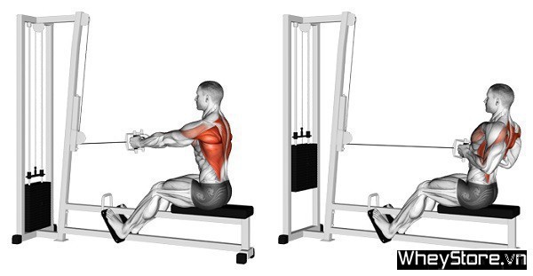 Lịch tập Gym cho người gầy tăng cân, tăng cơ nhanh trong 1 tuần - Ảnh 3