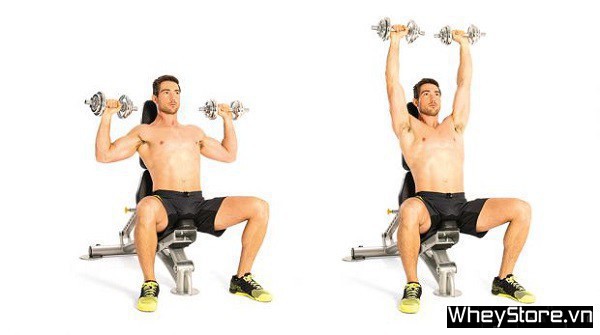 Lịch tập Gym cho người gầy tăng cân, tăng cơ nhanh trong 1 tuần - Ảnh 6