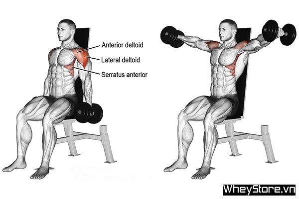 Lịch tập Gym cho người gầy tăng cân, tăng cơ nhanh trong 1 tuần - Ảnh 7