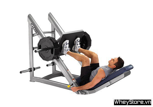 Lịch tập Gym cho người gầy tăng cân, tăng cơ nhanh trong 1 tuần - Ảnh 9