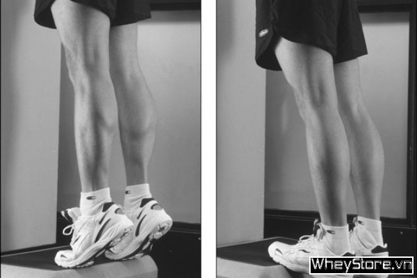 15 bài tập chân cho nam giúp sở hữu đôi chân rắn chắc nhanh chóng - Ảnh 8