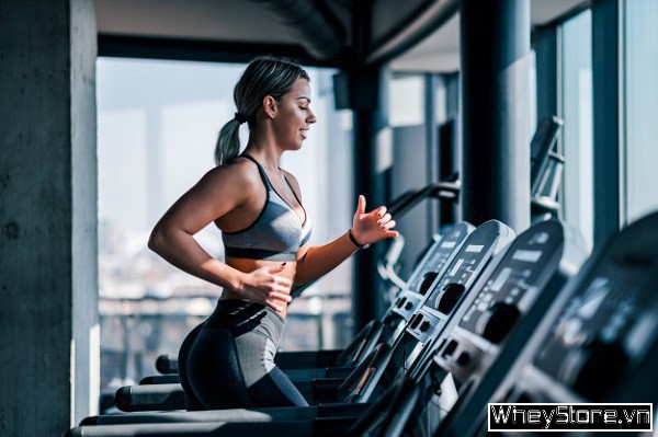 Tập Gym có tăng chiều cao không? Các bài tập giúp tăng chiều cao hiệu quả. - Ảnh 4