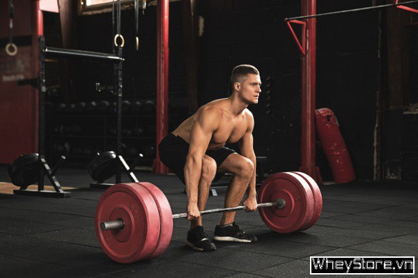 Deadlift là gì? Hướng dẫn tập deadlift đúng cách, hiệu quả nhất - Ảnh 3