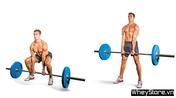 Deadlift là gì? Hướng dẫn tập deadlift đúng cách, hiệu quả nhất - Ảnh 4