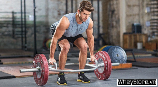 Deadlift là gì? Hướng dẫn tập deadlift đúng cách, hiệu quả nhất - Ảnh 5