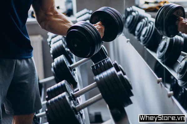 Hướng dẫn tập Gym đúng cách cho người mới bắt đầu chi tiết nhất - Ảnh 1