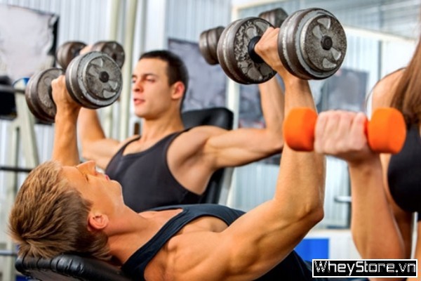 Superset là gì? Tại sao bạn nên áp dụng phương pháp tập luyện này? - Ảnh 2