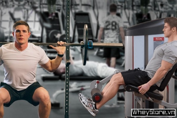 Superset là gì? Tại sao bạn nên áp dụng phương pháp tập luyện này? - Ảnh 5