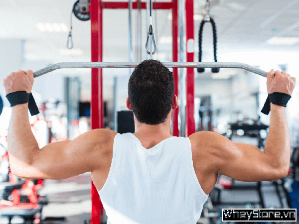 Lat Pulldown là gì? Cách tập Lat Pulldown để phát triển cơ xô - Ảnh 2