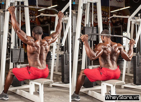 Lat Pulldown là gì? Cách tập Lat Pulldown để phát triển cơ xô - Ảnh 4