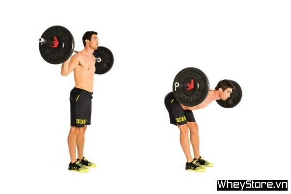 Điểm danh 10 bài tập lưng dưới gymer không nên bỏ qua - Ảnh 2