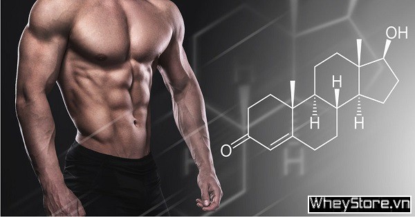 Top 9 cách tăng testosterone cho nam giới an toàn, hiệu quả nhất - Ảnh 1