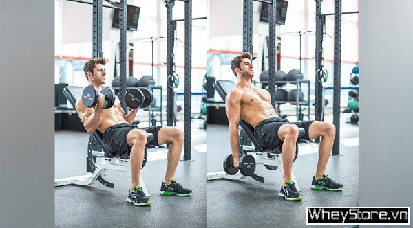 Top 10 bài tập tay trước và sau cho người tập Gym - Ảnh 7