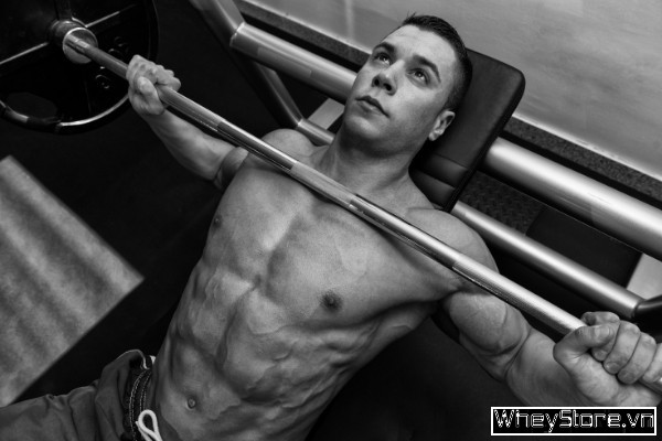 Bench Press là gì? Hướng dẫn cách tập Bench Press đầy đủ nhất - Ảnh 2