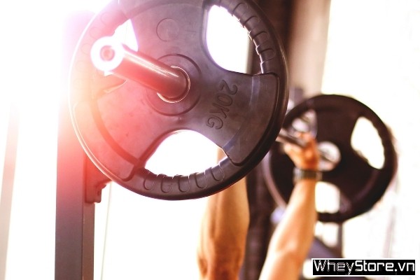 Bench Press là gì? Hướng dẫn cách tập Bench Press đầy đủ nhất - Ảnh 3