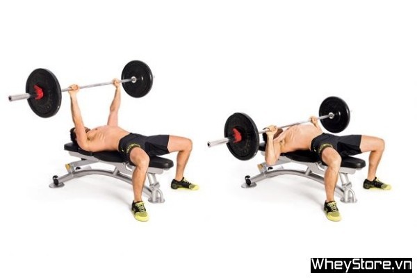 Bench Press là gì? Hướng dẫn cách tập Bench Press đầy đủ nhất - Ảnh 4