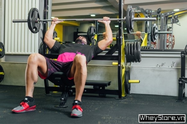 Bench Press là gì? Hướng dẫn cách tập Bench Press đầy đủ nhất - Ảnh 5