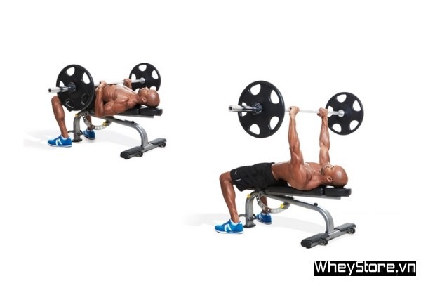 Bench Press là gì? Hướng dẫn cách tập Bench Press đầy đủ nhất - Ảnh 6
