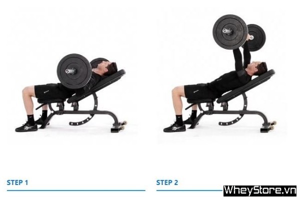 Bench Press là gì? Hướng dẫn cách tập Bench Press đầy đủ nhất - Ảnh 8