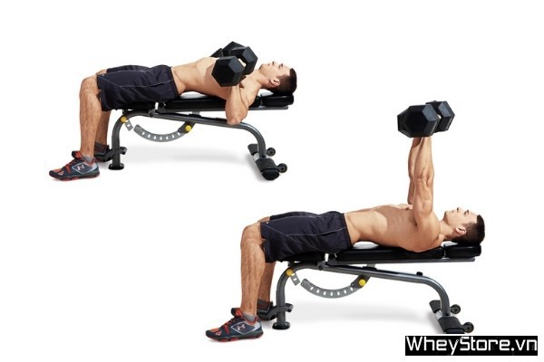Bench Press là gì? Hướng dẫn cách tập Bench Press đầy đủ nhất - Ảnh 10