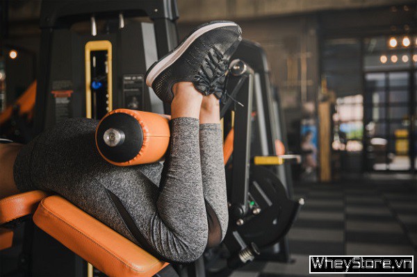 Leg curl là gì? Hướng dẫn tập cuốn tạ đùi sau chi tiết, đúng cách - Ảnh 1