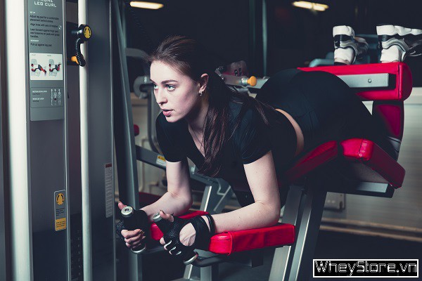 Leg curl là gì? Hướng dẫn tập cuốn tạ đùi sau chi tiết, đúng cách - Ảnh 2