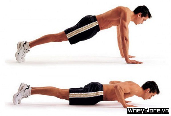 Bodyweight là gì? Top 15 bài tập Bodyweight cơ bản cho Gymer - Ảnh 4