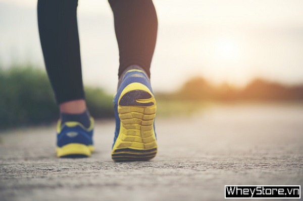 Đi bộ có tác dụng gì? 10 lợi ích hàng đầu của đi bộ cho sức khỏe - Ảnh 2