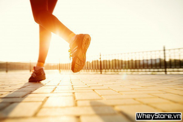 Chạy bộ có tác dụng gì? 15 lợi ích của chạy bộ mỗi ngày - Ảnh 8