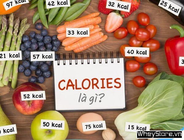Calo là gì? Mỗi ngày cần bao nhiêu calo để tăng cân, giảm cân? - Ảnh 1