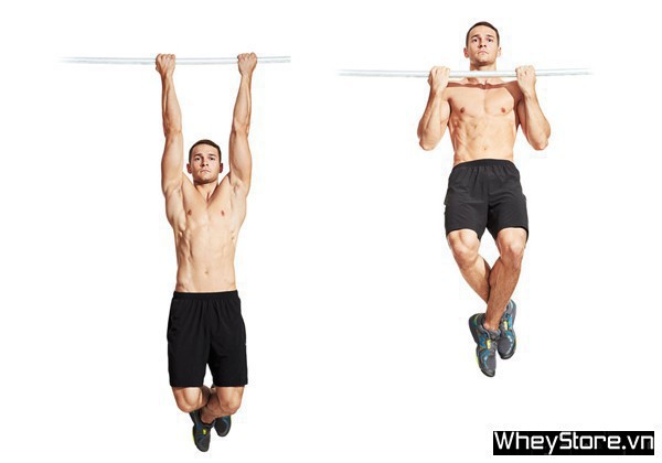 Biceps là gì? Các bài tập cơ tay trước hiệu quả nhất cho Gymer - Ảnh 5