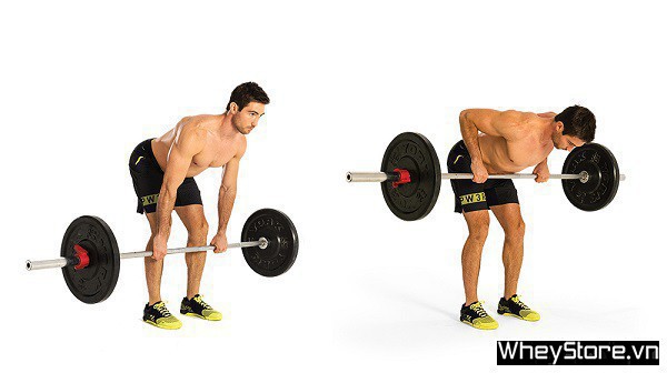 Biceps là gì? Các bài tập cơ tay trước hiệu quả nhất cho Gymer - Ảnh 6