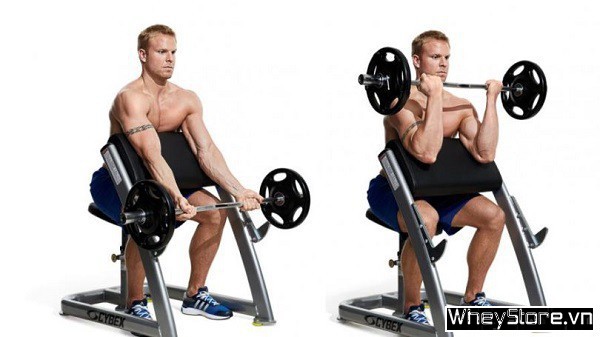Barbell curl là gì? Tập bắp tay trước hiệu quả với Barbell curl - Ảnh 3