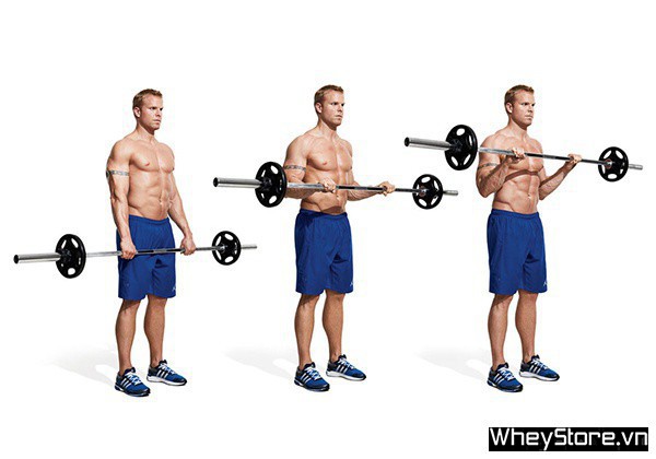 Barbell curl là gì? Tập bắp tay trước hiệu quả với Barbell curl - Ảnh 5