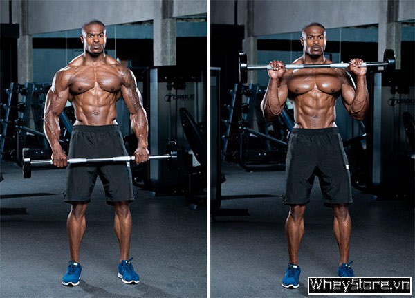 Barbell curl là gì? Tập bắp tay trước hiệu quả với Barbell curl - Ảnh 6