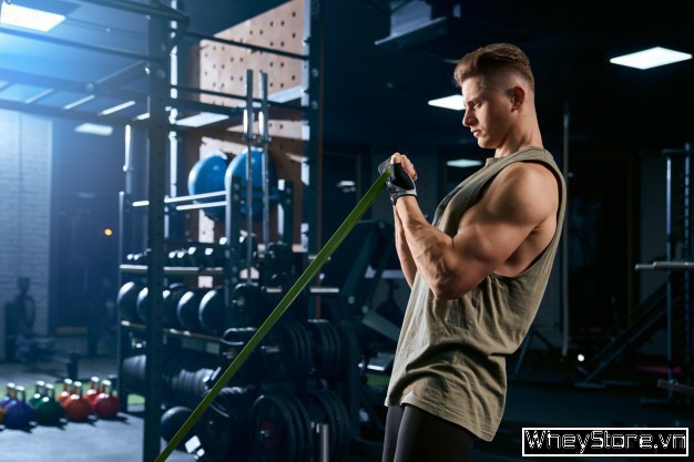 Lịch tập gym cho người mới bắt đầu 3 - 4 buổi 1 tuần phù hợp nhất - Ảnh 1