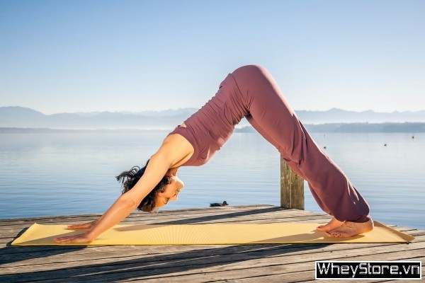 12 bài tập yoga tăng cân lấy lại vóc dáng cân đối khỏe mạnh - Ảnh 5