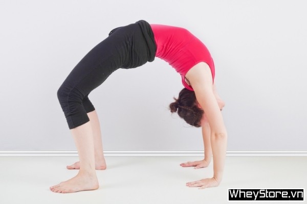 Tập yoga có tăng vòng 1 không? 7 bài tập yoga tăng vòng 1 hiệu quả - Ảnh 7