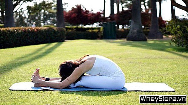 Top 10 bài tập Yoga giảm mỡ bụng tốt nhất cho vòng eo thon gọn - Ảnh 2