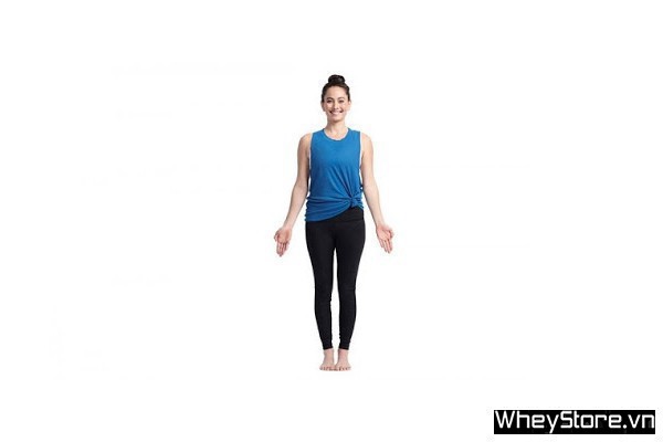 Top 10 bài tập Yoga giảm mỡ bụng tốt nhất cho vòng eo thon gọn - Ảnh 4