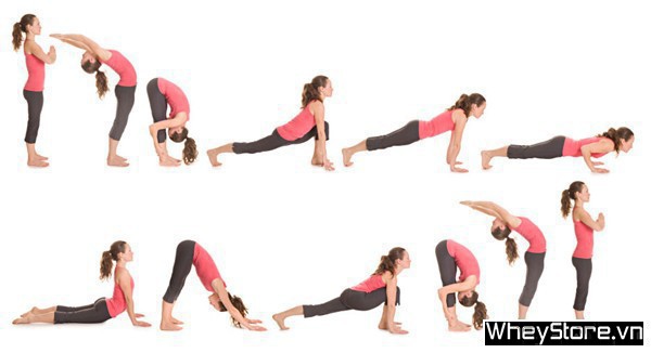 Top 10 bài tập Yoga giảm mỡ bụng tốt nhất cho vòng eo thon gọn - Ảnh 7
