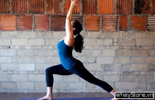 Top 10 bài tập Yoga cho người mới bắt đầu tại nhà chi tiết nhất - Ảnh 5