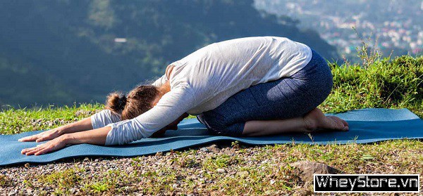 Top 10 bài tập Yoga cho người mới bắt đầu tại nhà chi tiết nhất - Ảnh 6