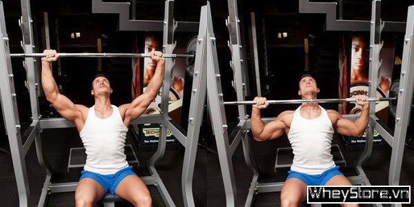 Top 10 các bài tập vai trước và sau hiệu quả cho người tập Gym - Ảnh 3