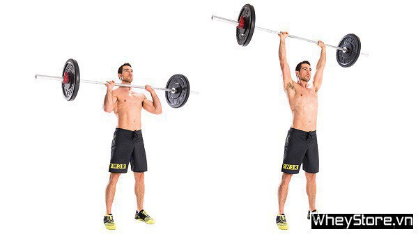 Top 10 các bài tập vai trước và sau hiệu quả cho người tập Gym - Ảnh 4