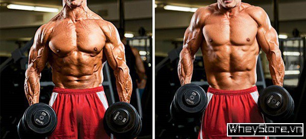 Top 10 các bài tập vai trước và sau hiệu quả cho người tập Gym - Ảnh 5