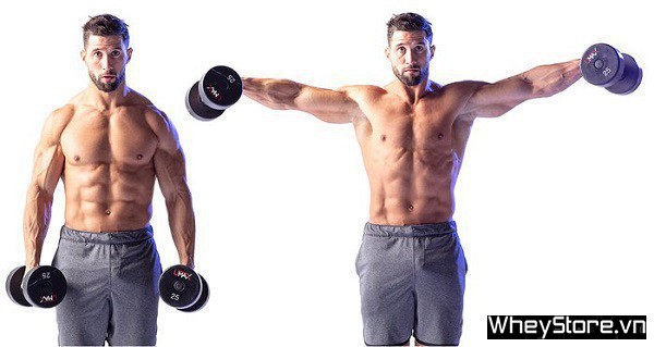 Top 10 các bài tập vai trước và sau hiệu quả cho người tập Gym - Ảnh 8