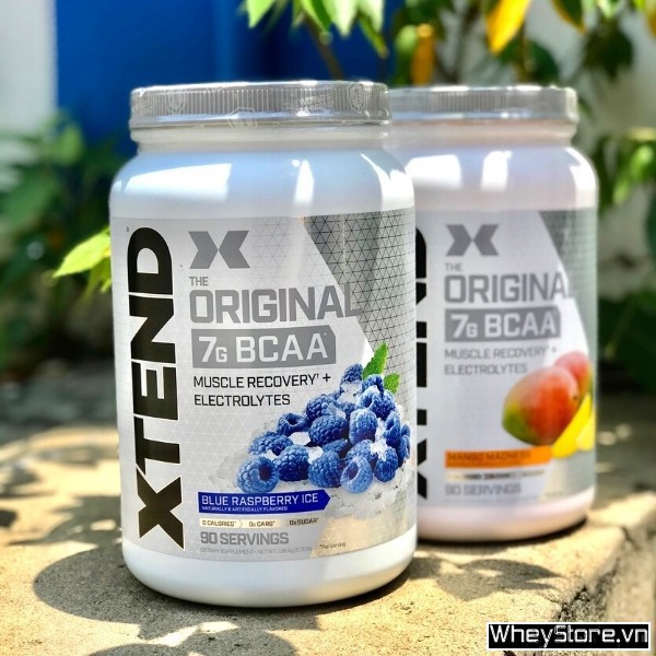 So sánh Hydro BCAA và Xtend BCAA: Loại nào chống dị hóa tốt hơn? - Ảnh 2