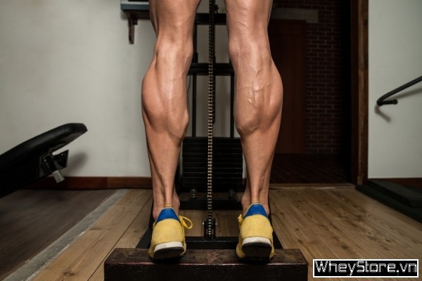 13 bài tập phục hồi teo cơ bắp chân cho đôi chân khỏe mạnh cân đối - Ảnh 11